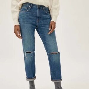 NWT Everlane The Summer Jean Distressed Size 33